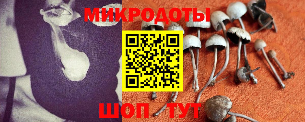 Галлюциногенные грибы ЛСД  Вход с VPN  Качканар 