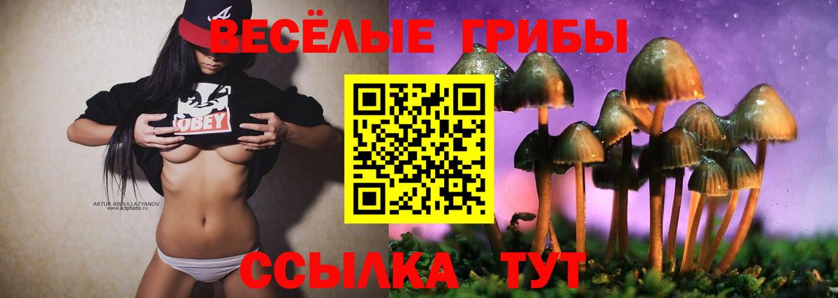 Галлюциногенные грибы прущие грибы Качканар